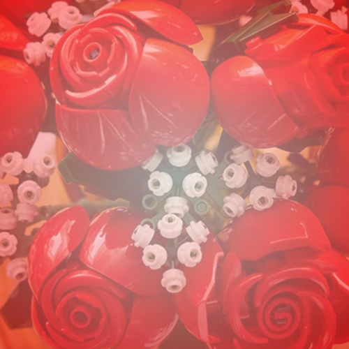 Un San Valentín diferente con LEGO® Colombia: crea un plan en pareja con botanicals desde casa