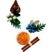 LEGO® Botanicals: Corona (10340)_004