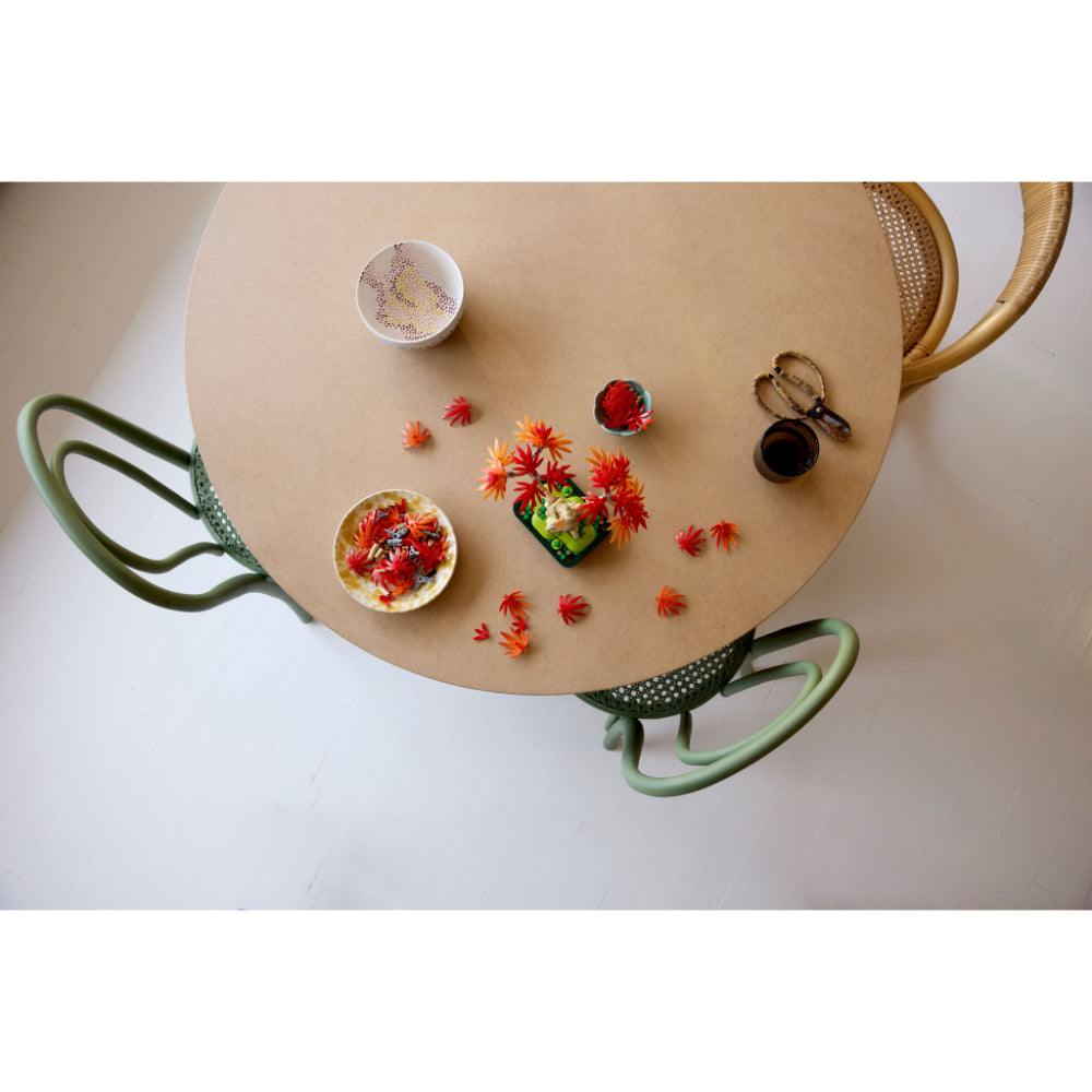 LEGO®Iconic: Bonsái De Arce Rojo Japonés (10348)_006