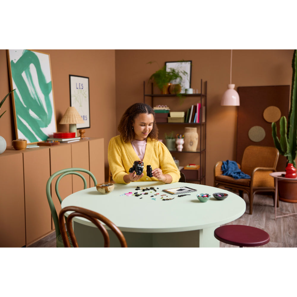 LEGO®Iconic: Cómo Entrenar A Tu Dragón: Desdentao (10375)_005