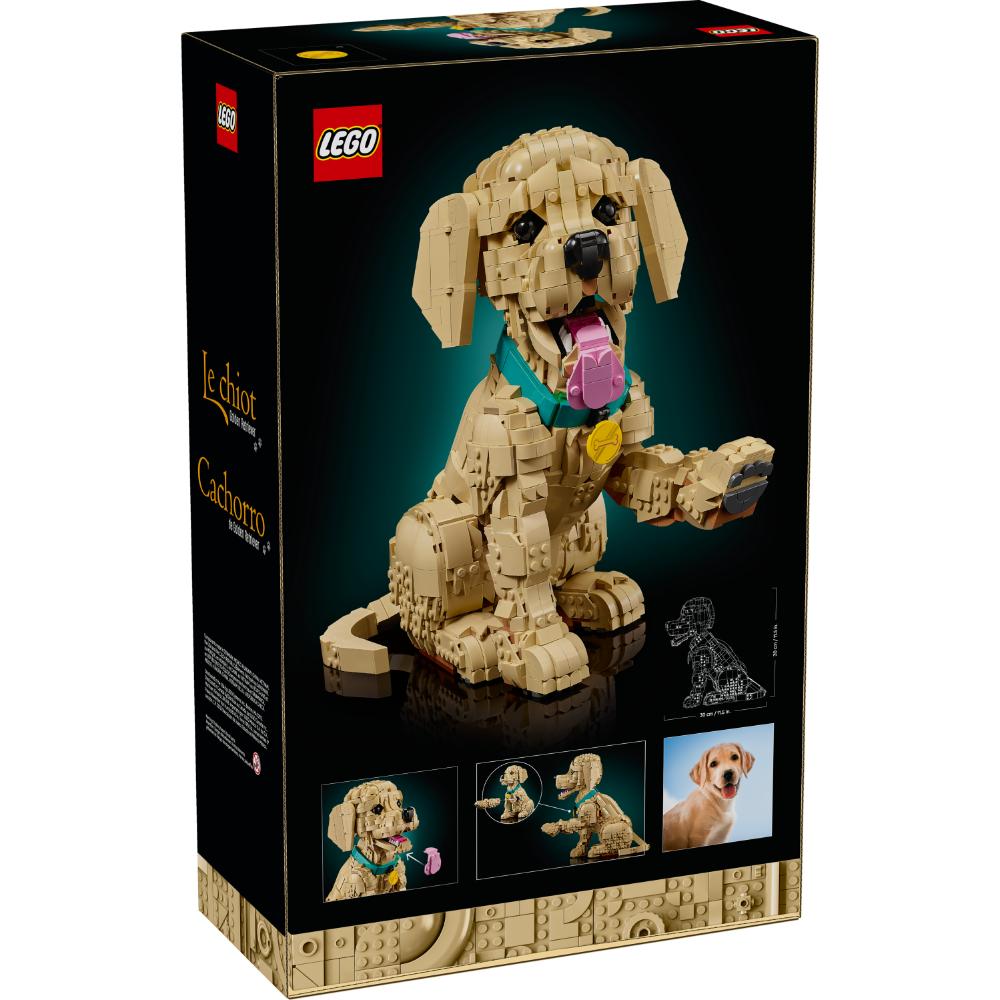 CACHORRO DE GOLDEN RETRIEVER