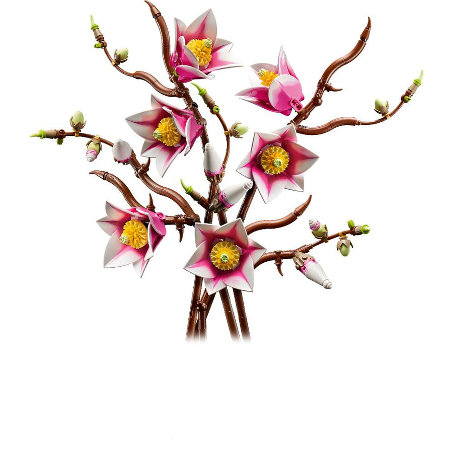 RAMAS DE MAGNOLIA