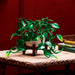 LEGO®Botanicals: Poto Dorado Colgante (11512)_011