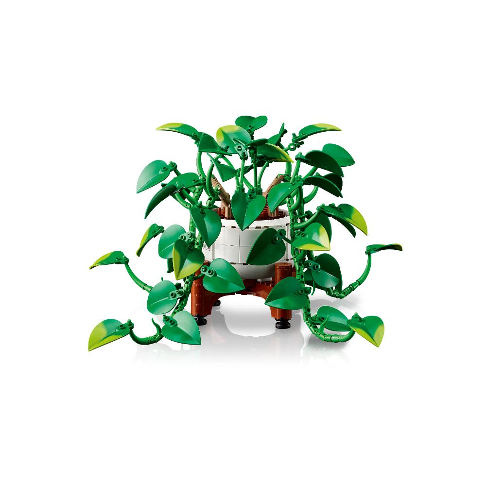 LEGO®Botanicals: Poto Dorado Colgante (11512)_006