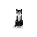 LEGO® Ideas: Gato Bicolor (21349)_004