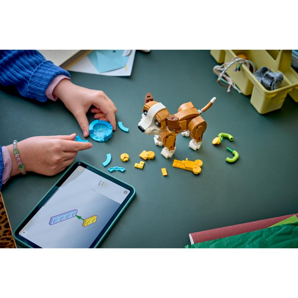 LINDOS ANIMALES: CACHORRO JUGUETÓN