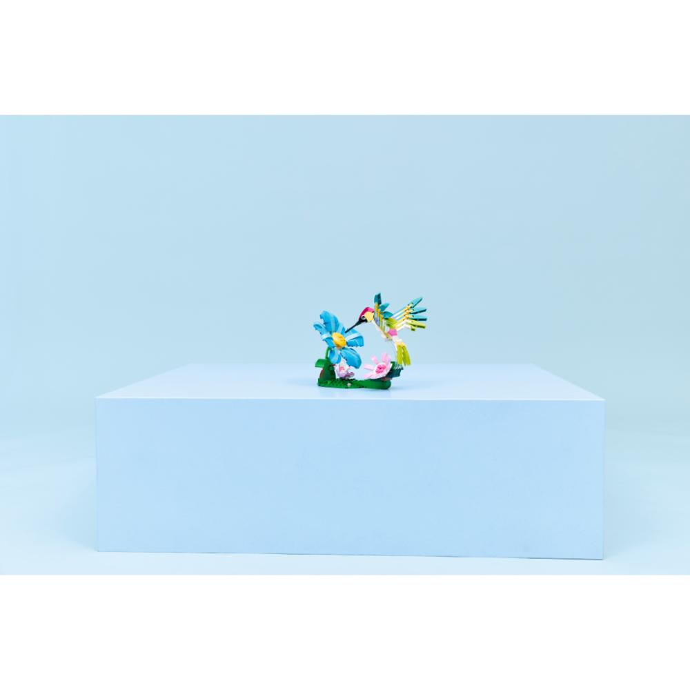 FAUNA SALVAJE: COLIBRÍ COLORIDO