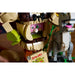 LEGO®Shrek: Shrek, Burro Y Gato Con Botas (72423)_011