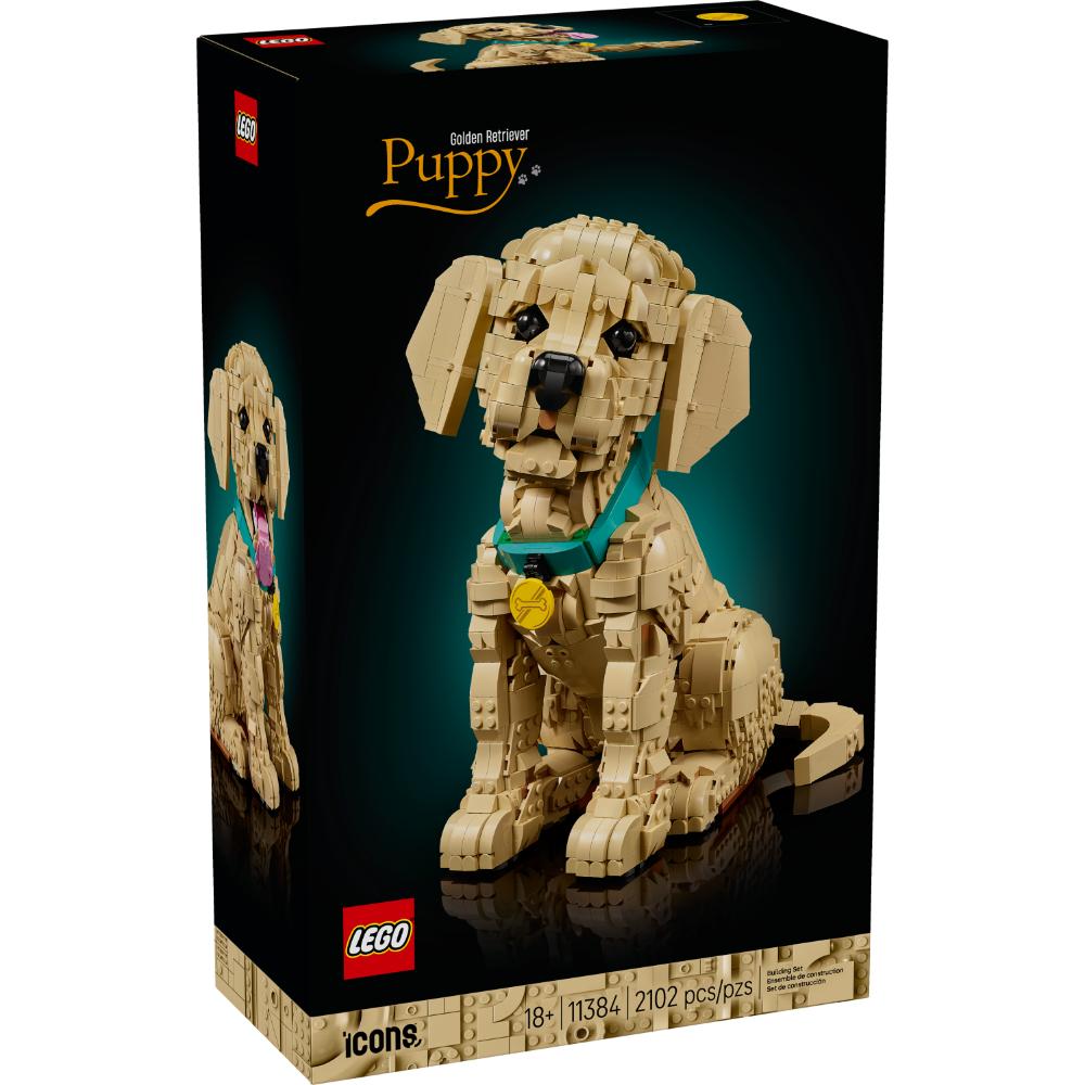 Set LEGO® Icons cachorro de Golden Retriever con figura articulada y collar decorativo
