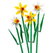 LEGO®Extended Line: Narcisos (40747)_002