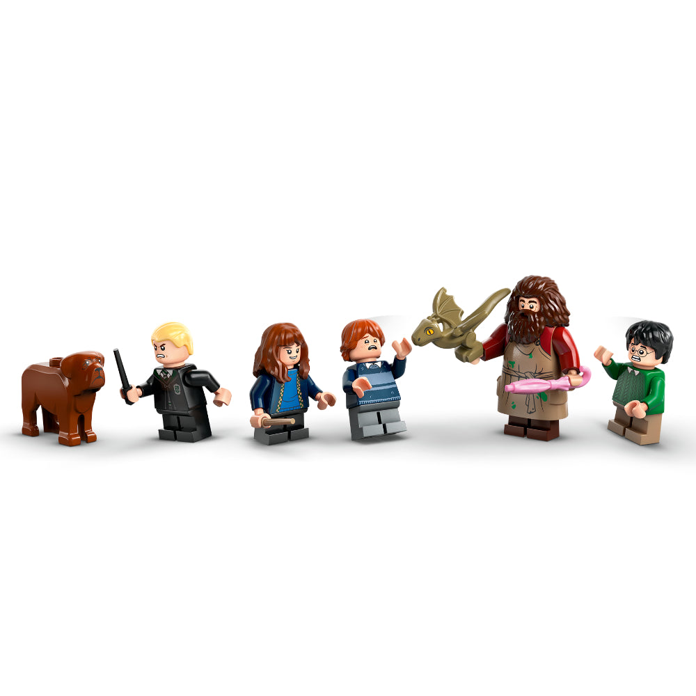  LEGO®Harry Potter : Cabaña De Hagrid: Una Visita Inesperada_005